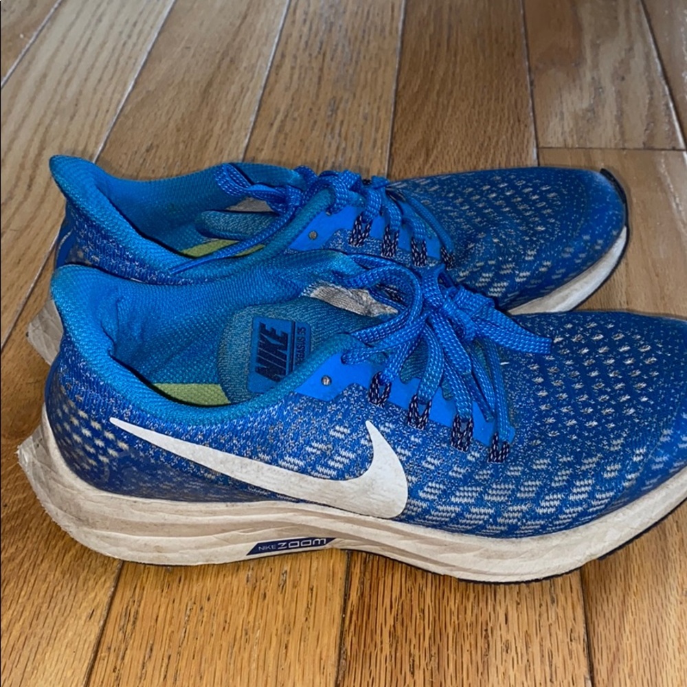 Nike zoom pegasus 35
